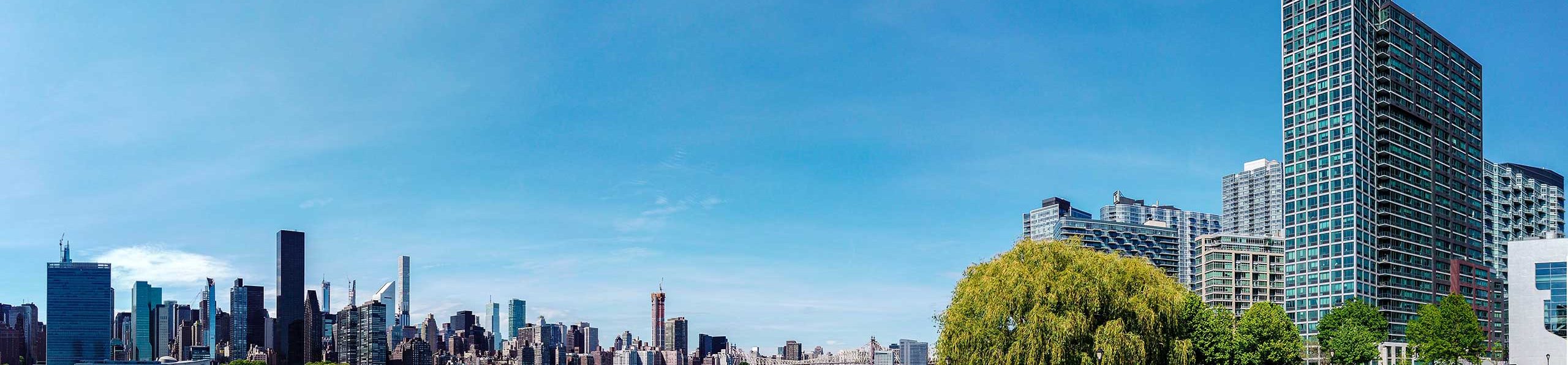 view of new york city from long island