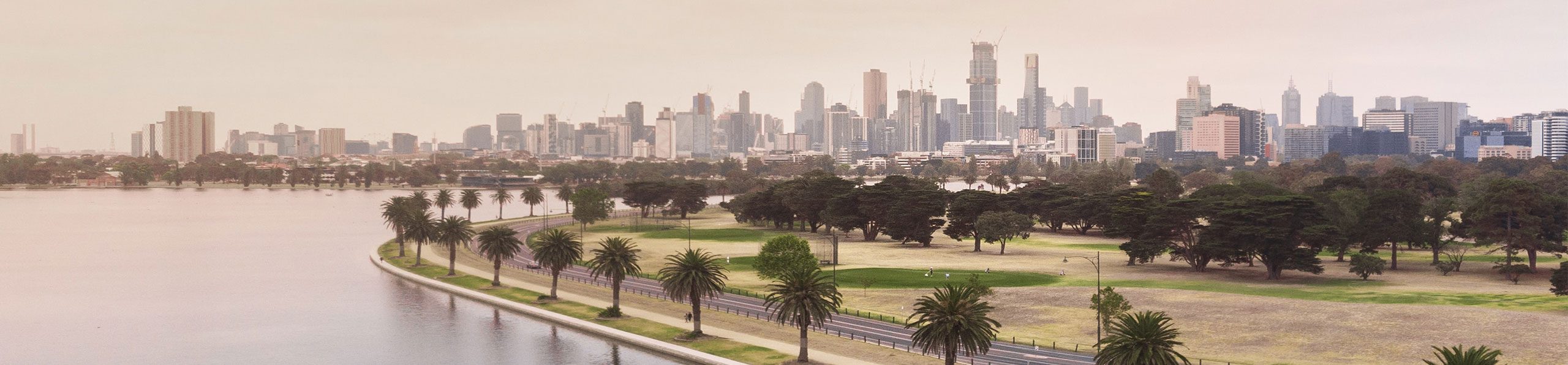 view of melbourne city with water and palmtrees by the road
